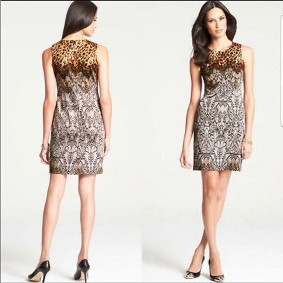 ANN TAYLOR | Animal Print Leopard & Lace Print Sheath Dress Women’s Size 2 - Picture 1 of 11